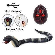 Load image into Gallery viewer, REMOTE CONTROL TOY SNAKE